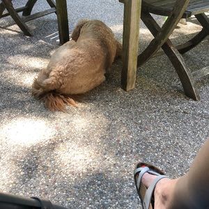 Meet your Posher, Kim